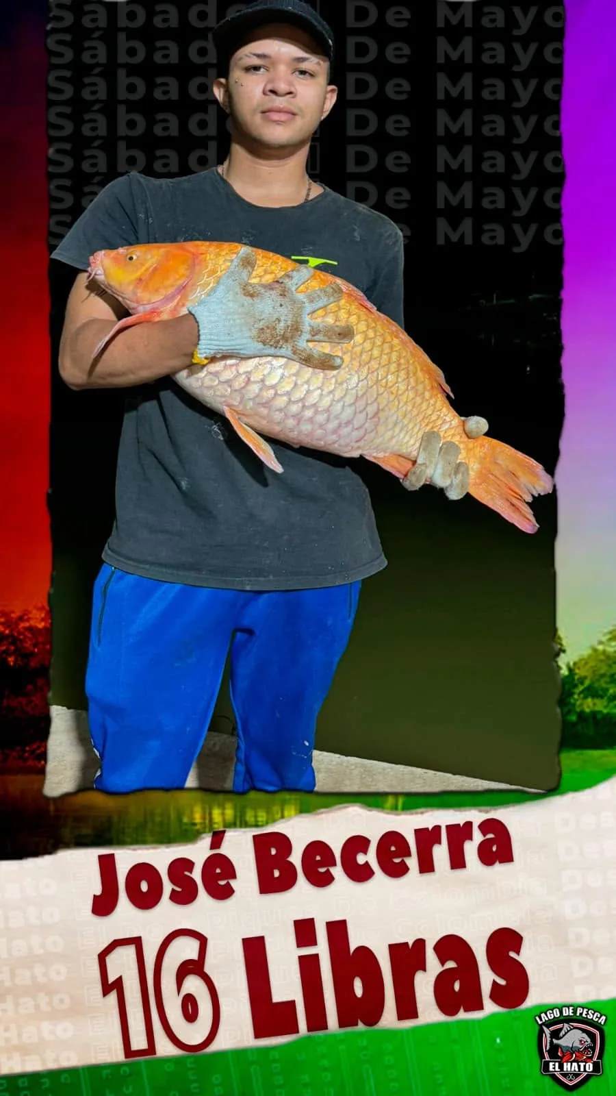 EL HATO - foto 5